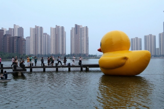 Illustration for article titled In China, There Are Too Many Giant Rubber Duck Rip-Offs